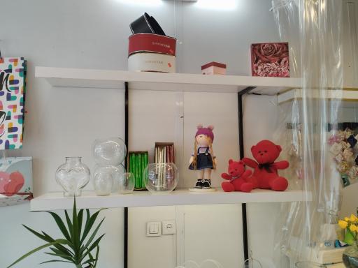 عکس گل فروشی ندرلند