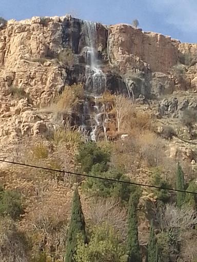 عکس گله دار