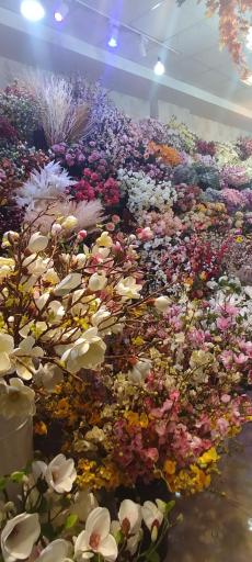 عکس گالری گلشین