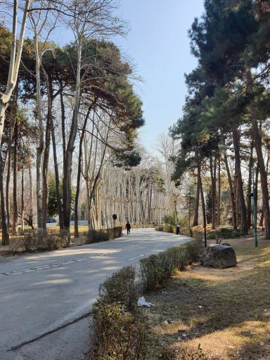 عکس ورودی دربند کاخ سعد آباد (شمالی)