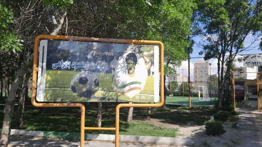 عکس زمین چمن مقصود بایرامی