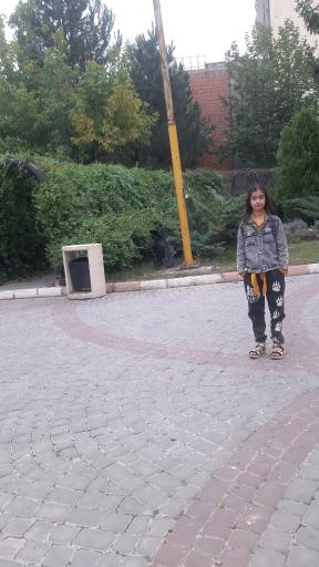 عکس پارک شادی سرعین