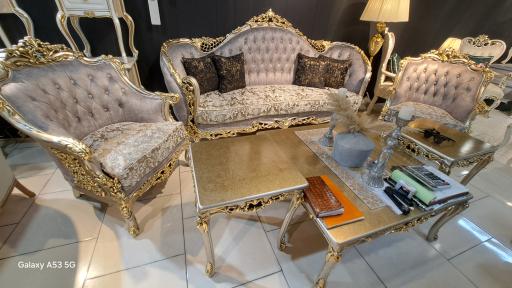 عکس جانیران مبل