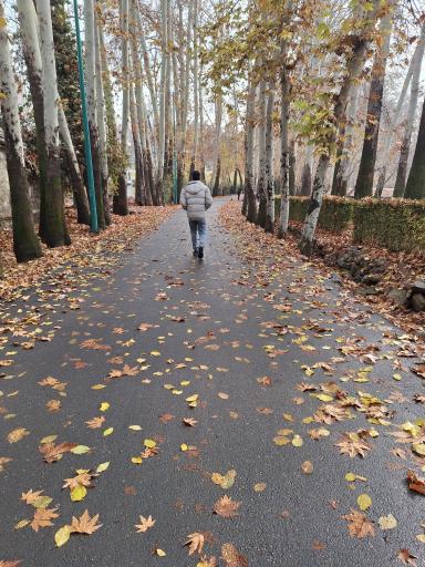 عکس ورودی دربند کاخ سعد آباد (شمالی)