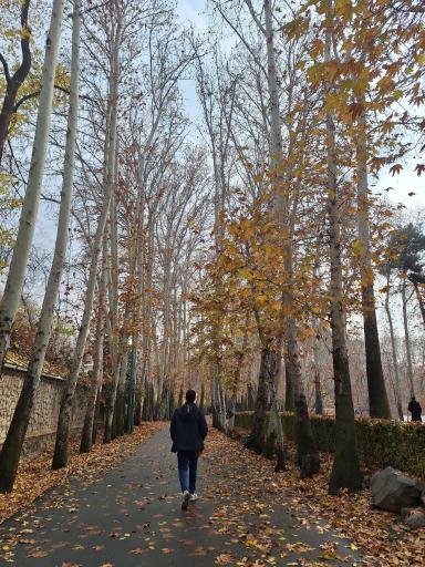 عکس ورودی دربند کاخ سعد آباد (شمالی)