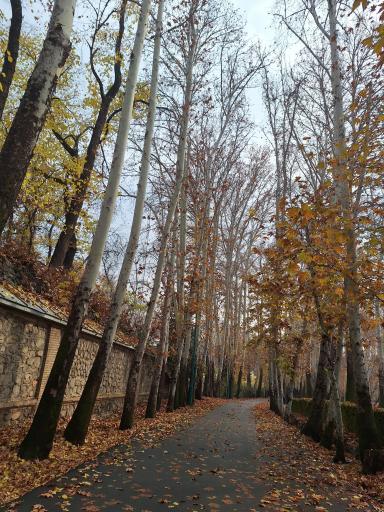 عکس ورودی دربند کاخ سعد آباد (شمالی)