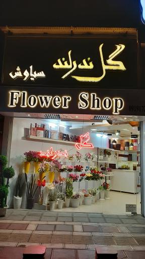 عکس گل فروشی ندرلند