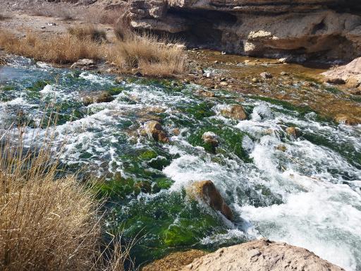 عکس تنگه دلاوران