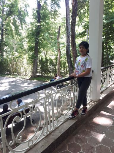 عکس ورودی دربند کاخ سعد آباد (شمالی)