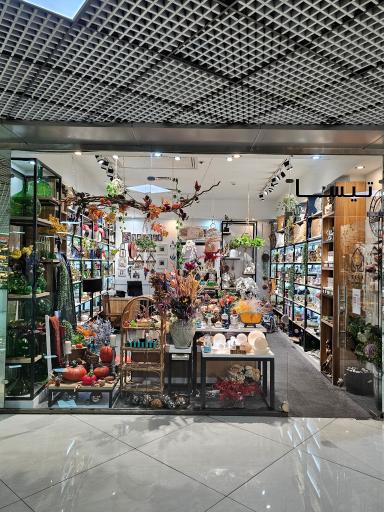 عکس گالری تیسا