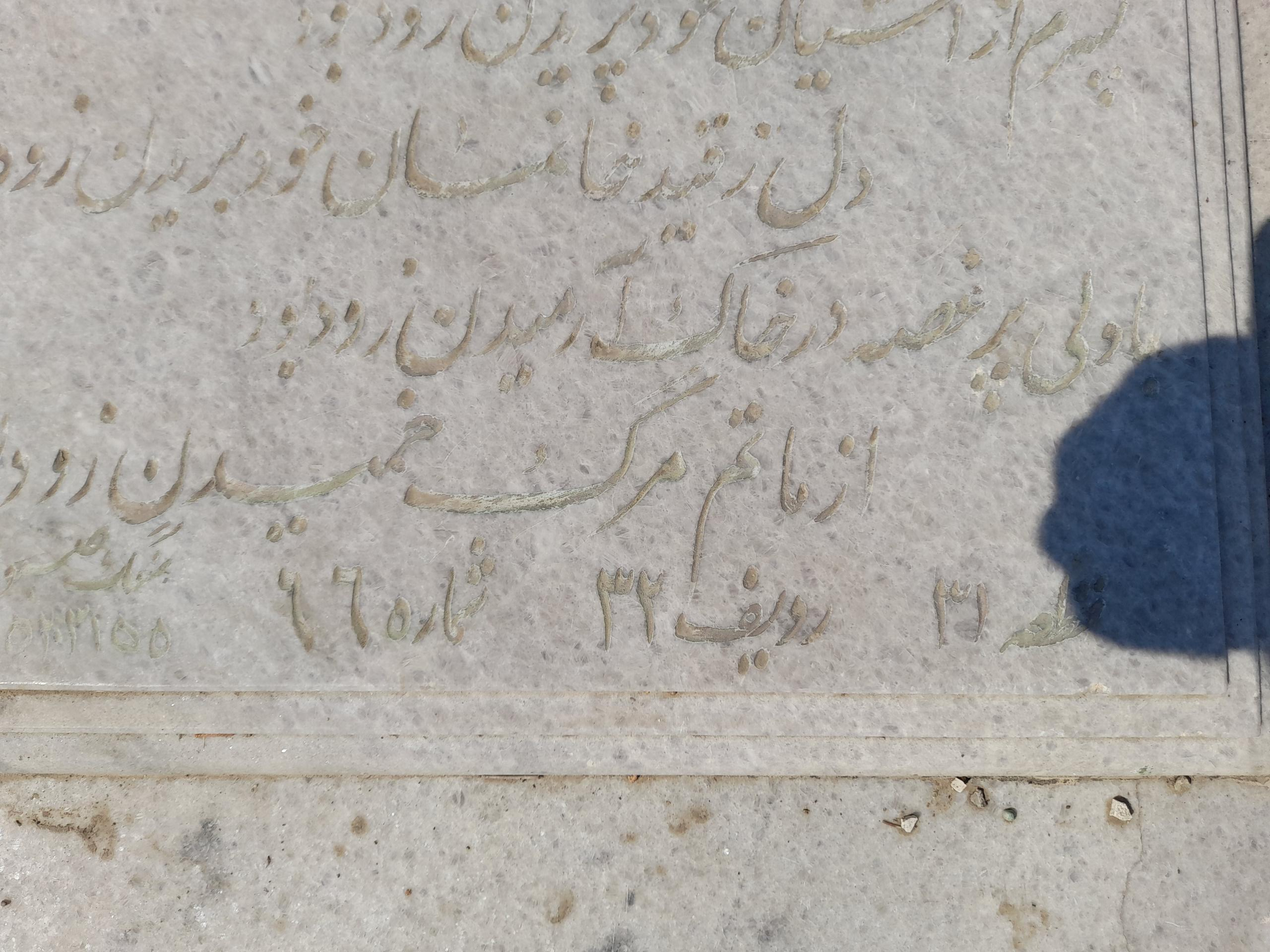 عکس علیرضا امینی