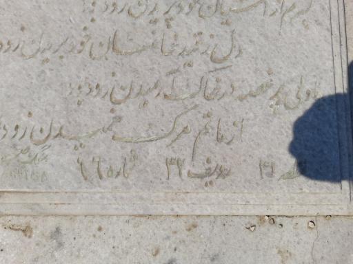 عکس علیرضا امینی