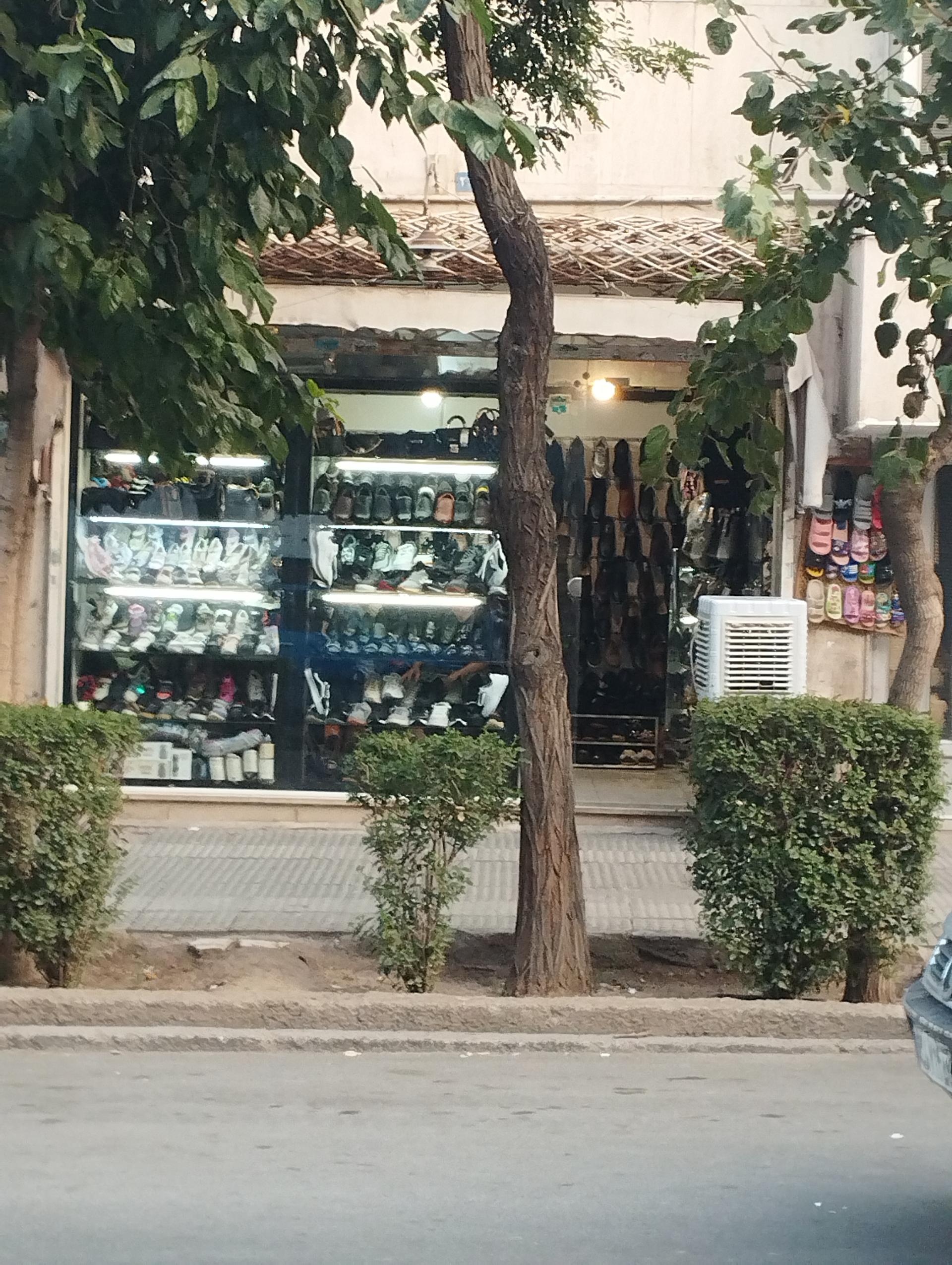 عکس کیف و کفش