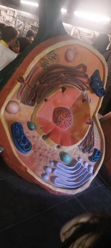 عکس مجموعه پروفسور بازیما (موزه ژوراسیک)