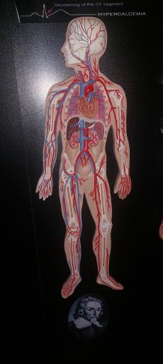 عکس مجموعه پروفسور بازیما (موزه ژوراسیک)