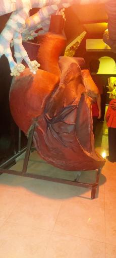 عکس مجموعه پروفسور بازیما (موزه ژوراسیک)