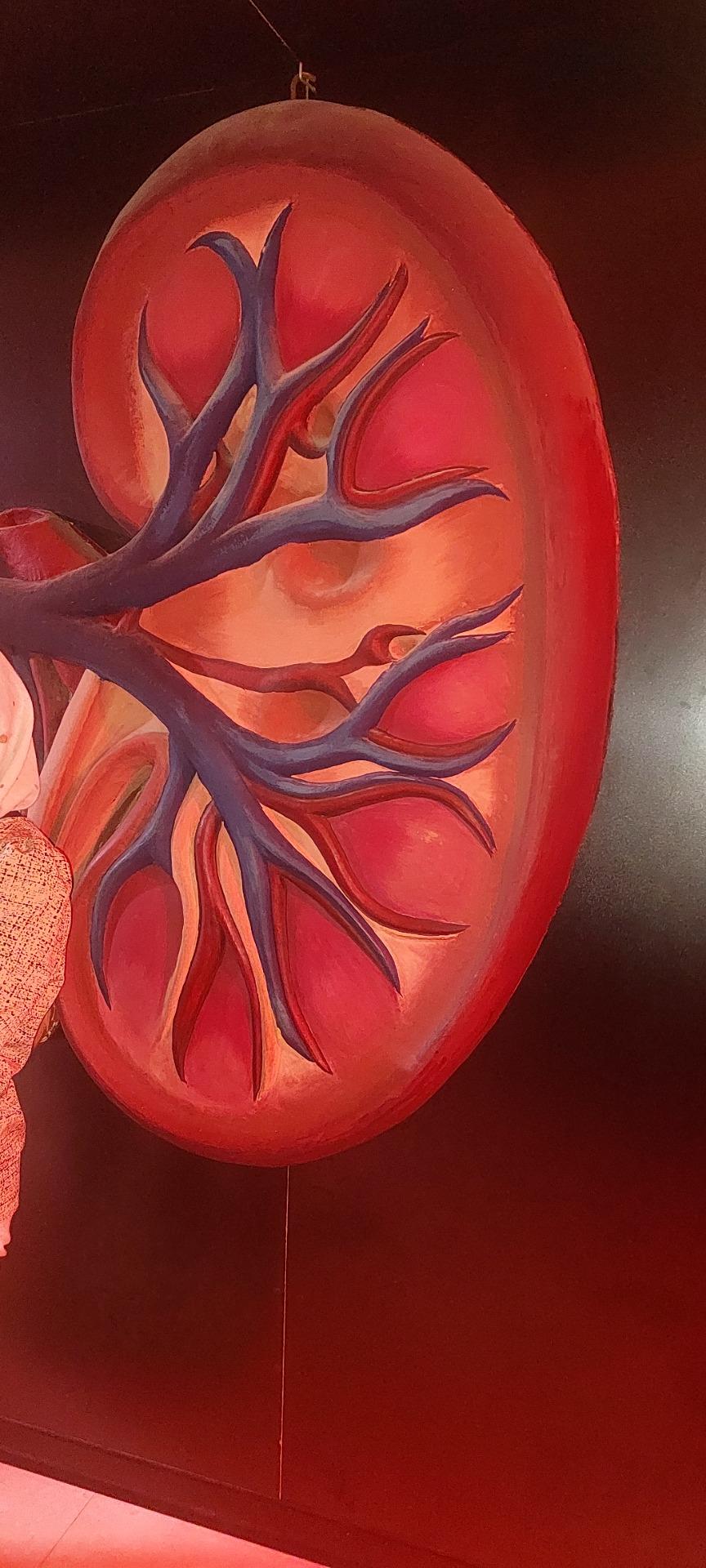 عکس مجموعه پروفسور بازیما (موزه ژوراسیک)