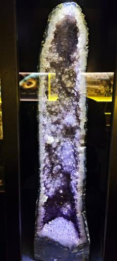 عکس مجموعه پروفسور بازیما (موزه ژوراسیک)