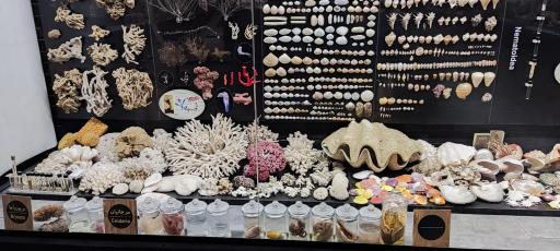 عکس مجموعه پروفسور بازیما (موزه ژوراسیک)