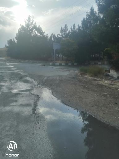 عکس سردخانه حمزه پور 