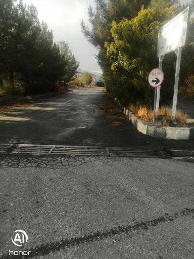 عکس سردخانه حمزه پور 