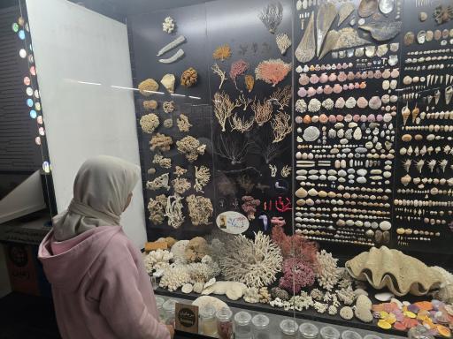 عکس مجموعه پروفسور بازیما (موزه ژوراسیک)