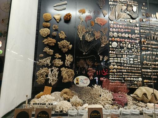 عکس مجموعه پروفسور بازیما (موزه ژوراسیک)