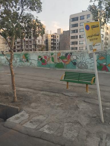عکس  جانباز 10