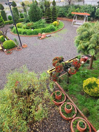 عکس متل ترنج