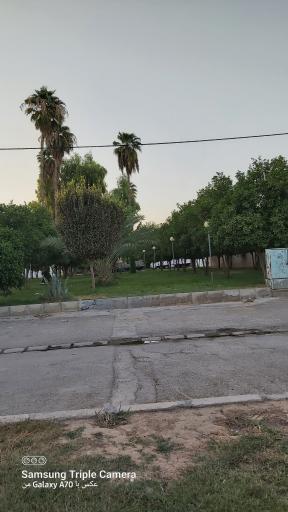 عکس پارک گلستان 
