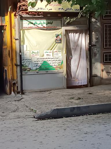 عکس گیاهان دارویی بانو عطار