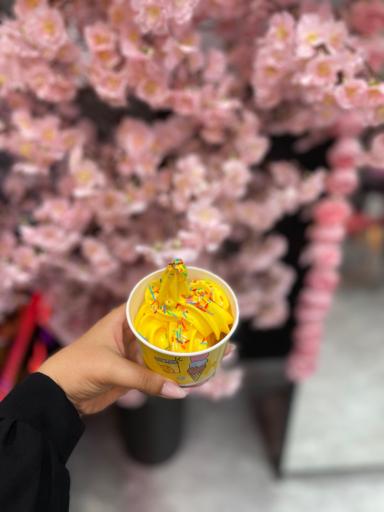 آبمیوه و بستنی پینکی روم