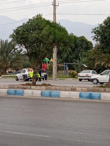 عکس پارک علی سمیل