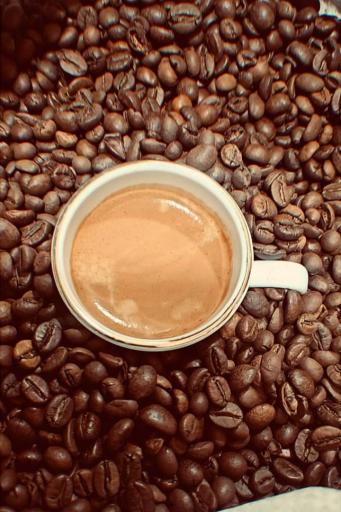 عکس کافه میم