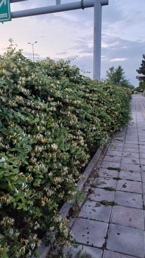 عکس بوستان شهید سردار تقوی‌فر