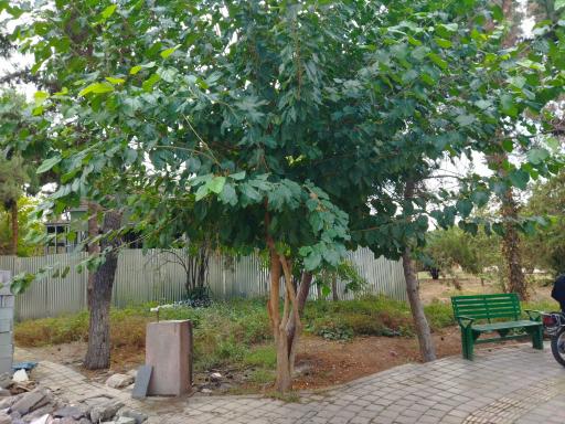 عکس بوستان شهید سردار تقوی‌فر