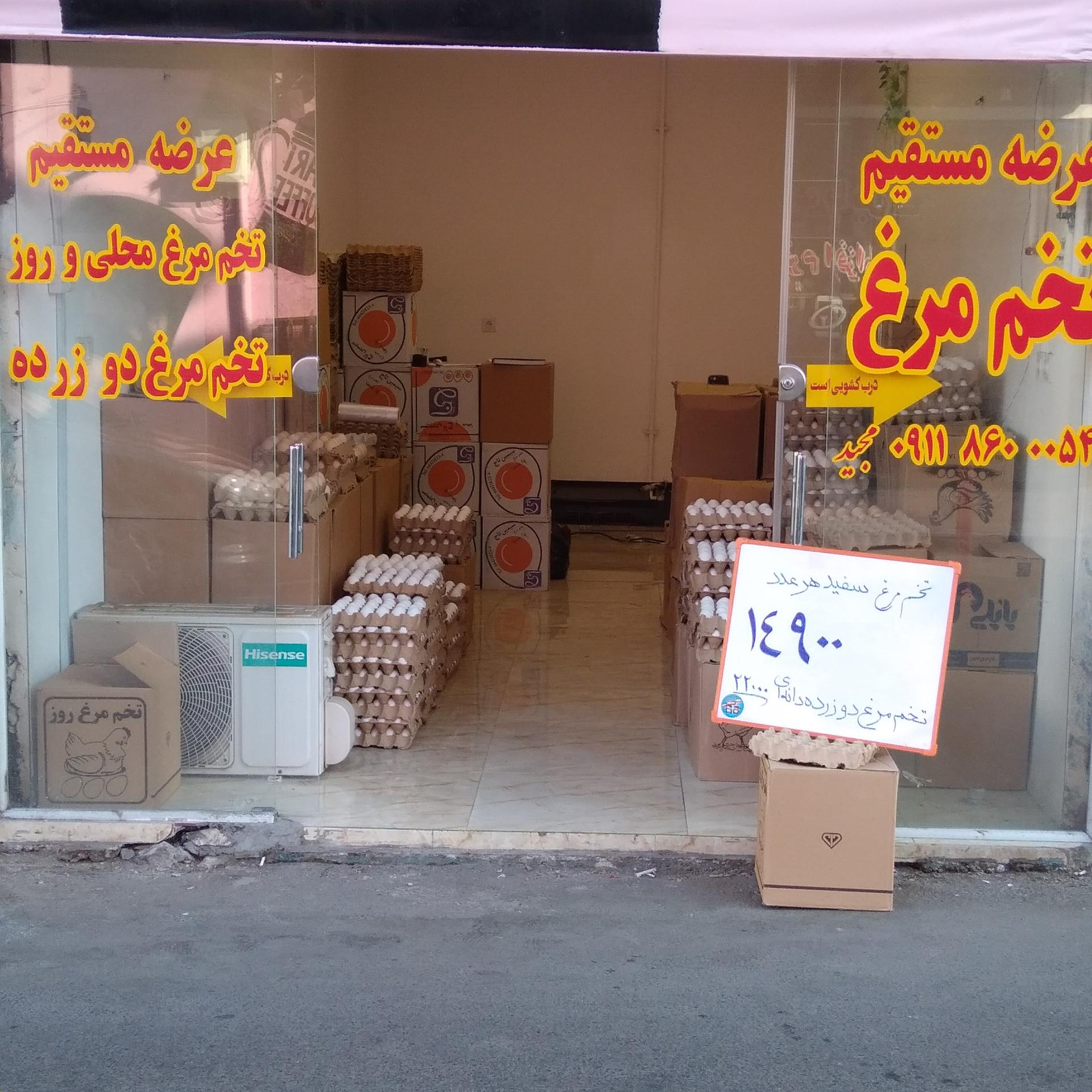 عکس عرضه مستقیم تخم مرغ