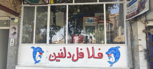 عکس ساندویچی فلافلی دلفین