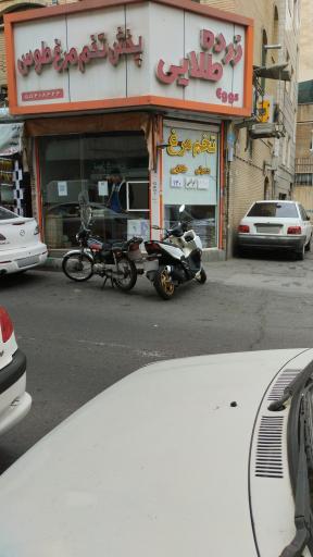 عکس تخم مرغ زرده طلائی