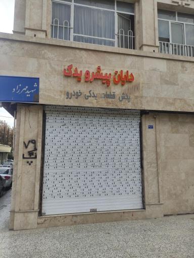 عکس دایان پیشرو یدک