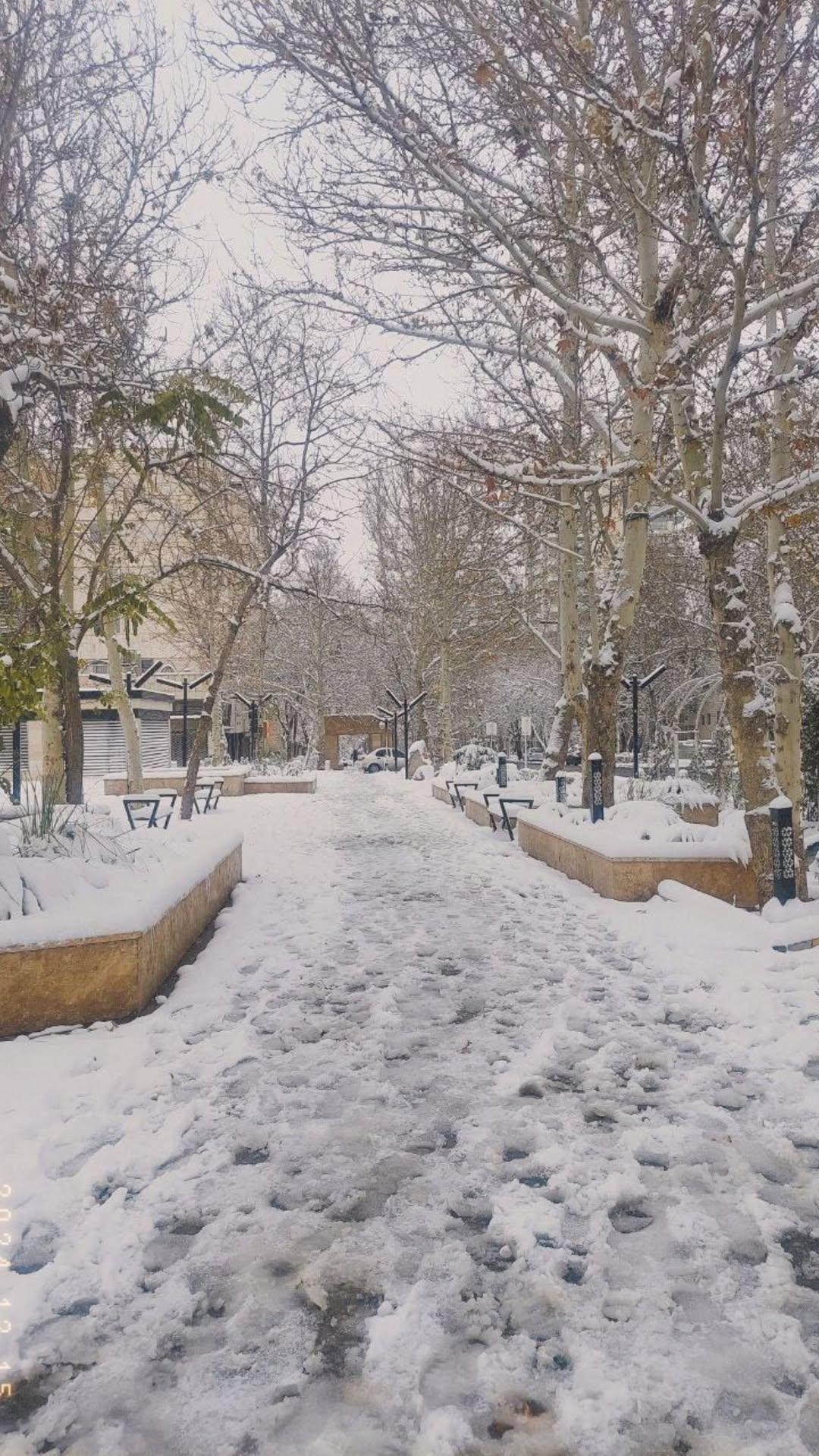 عکس دانشگاه آزاد تربت حیدریه