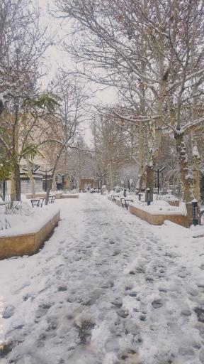 عکس دانشگاه آزاد اسلامی واحد تربت حیدریه