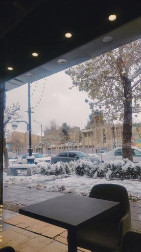 عکس دانشگاه آزاد اسلامی واحد تربت حیدریه