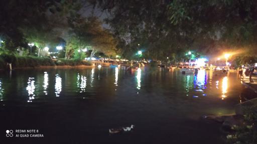 عکس دریاچه مصنوعی پارک ملت