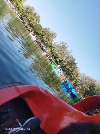 عکس دریاچه مصنوعی پارک ملت