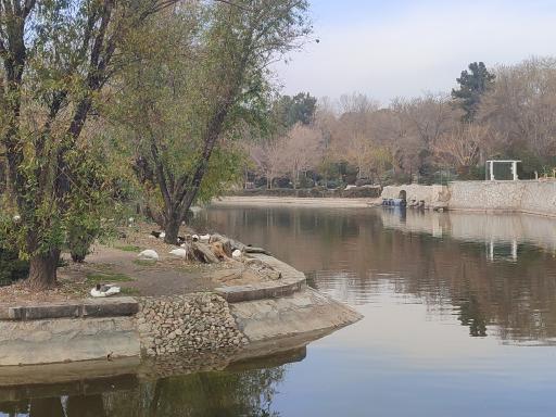 عکس دریاچه مصنوعی پارک ملت