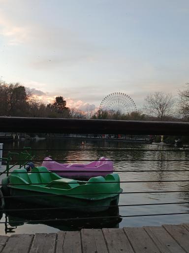 عکس دریاچه مصنوعی پارک ملت