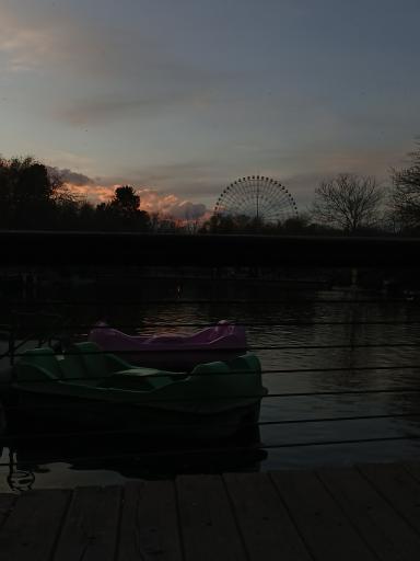 عکس دریاچه مصنوعی پارک ملت