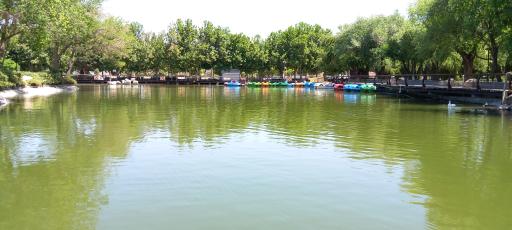 عکس دریاچه مصنوعی پارک ملت