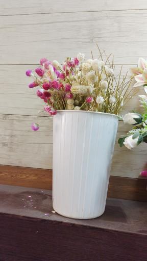 عکس گل آریسا 